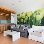Paradise Homes Tenerife *